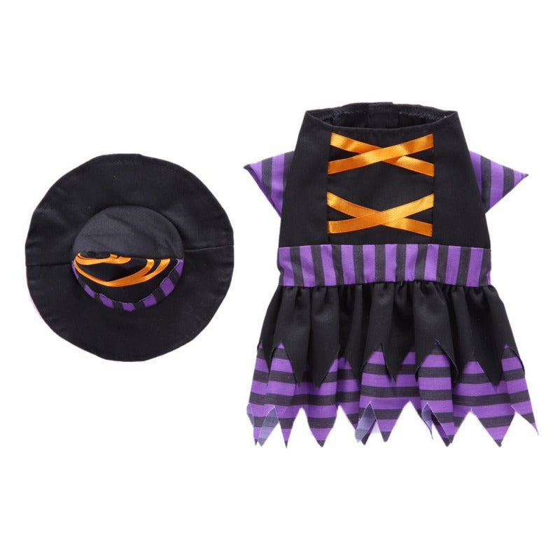 Witch Dog Costume
