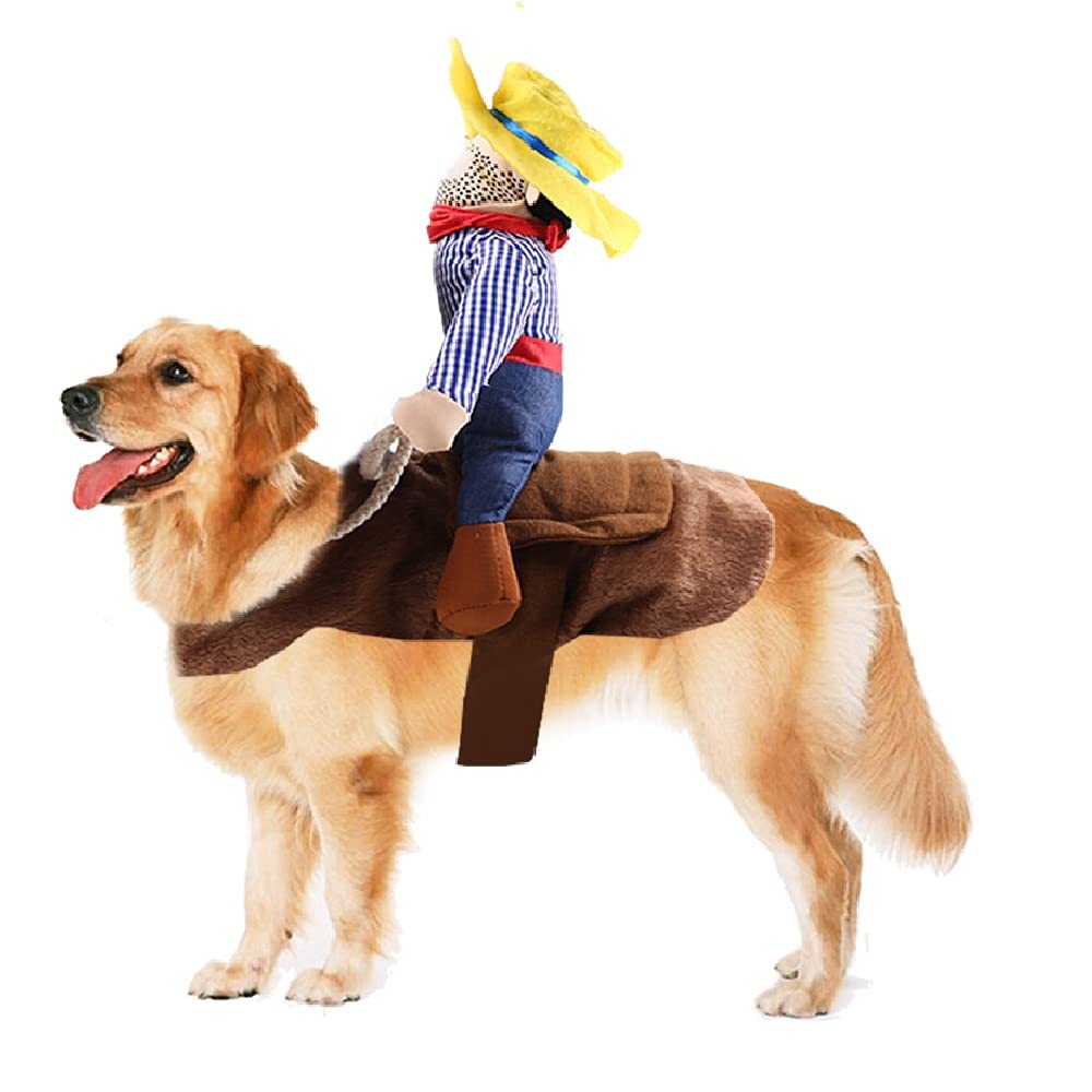 Cowboy on a Dog Costume