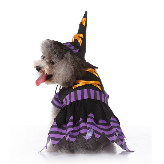 Witch Dog Costume